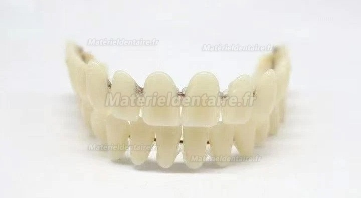 Prothèses dentaires en résine CAIYU (flexibles, bilatérales et symétriques) A1/A2/A3/A3.5/A4